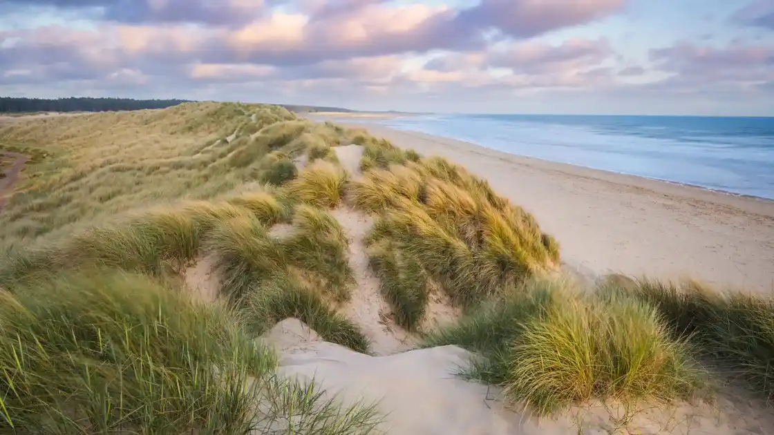Holkham Beach