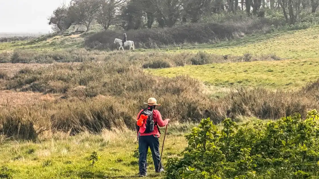 Walker crossing gently undulating heathland on the Norfolk Coast Path, showing the trail's easy-going terrain and open landscapes.