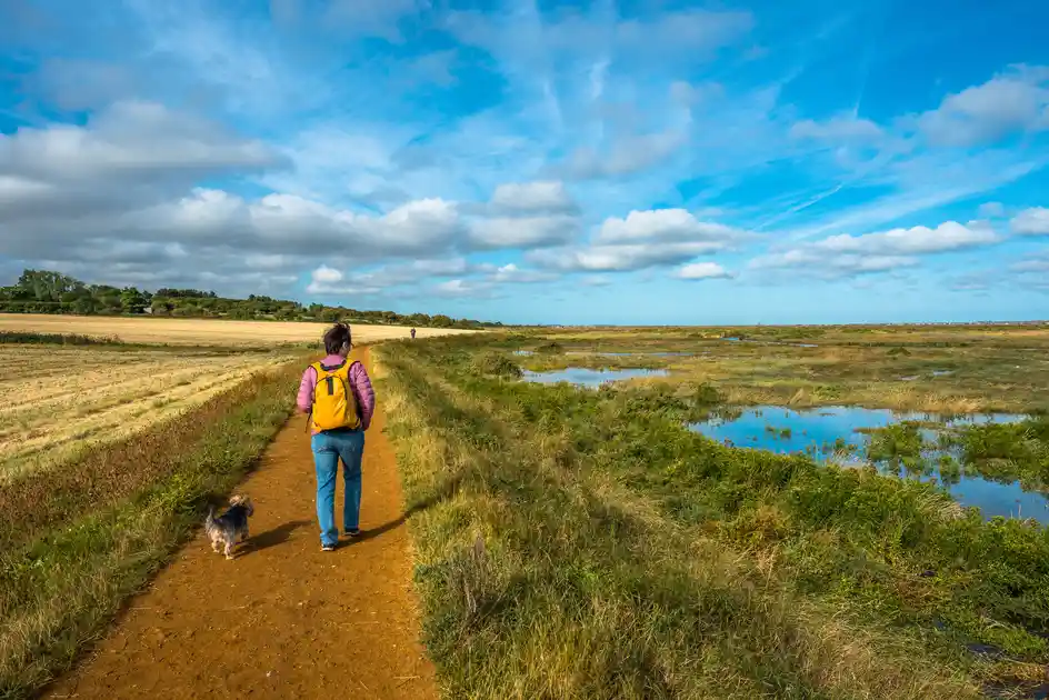 Walker following a coastal path beside saltmarsh on the Norfolk coast.