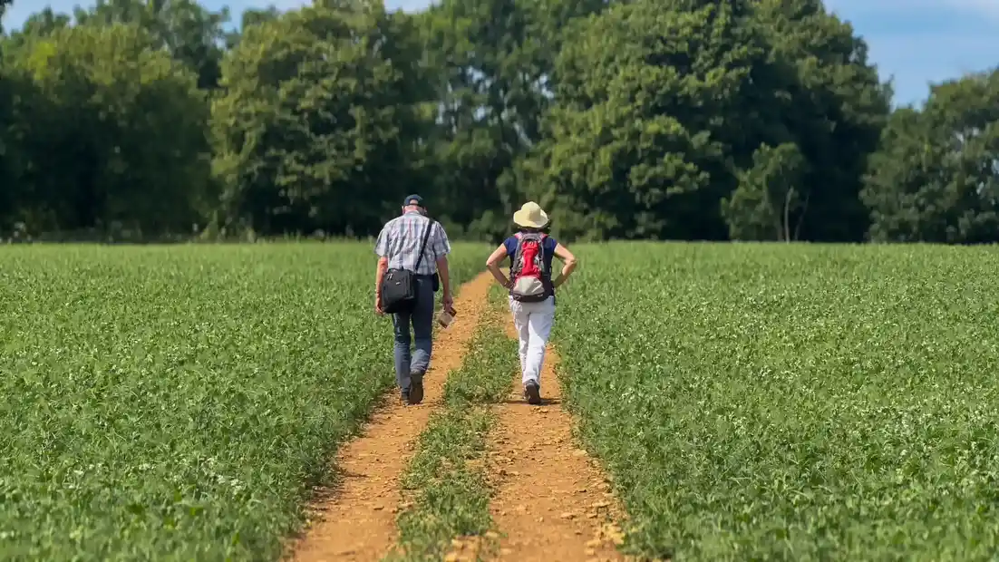 Walkers on a farm track along the Cotswold Way, surrounded by open countryside
