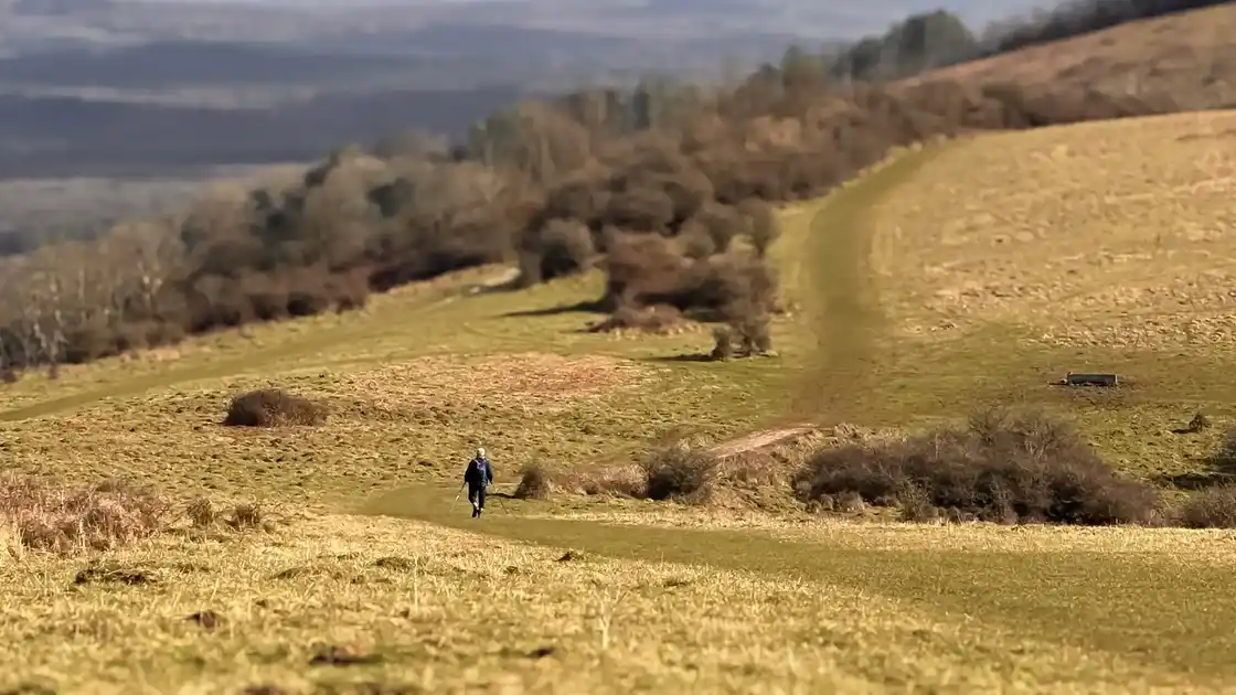 Walker on the South Downs Way crossing rolling chalk hills in the South Downs National Park.