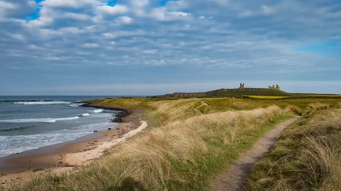 Coastal walking path through sand dunes with views to Dunstanburgh Castle along the Northumberland Coast Path.
