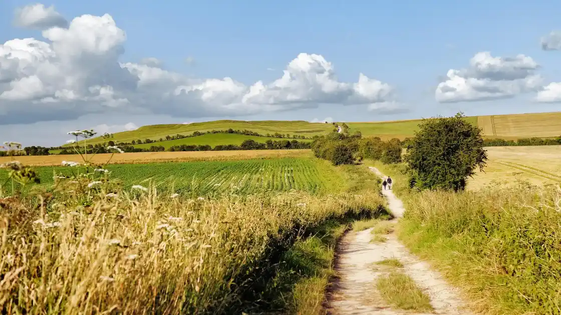 Views of the ridgeway path passing through open countryside.