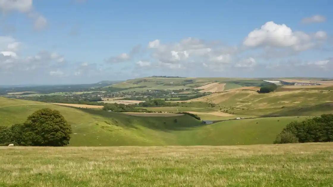 Rolling chalk downland and farmland along the Downs Link in West Sussex.