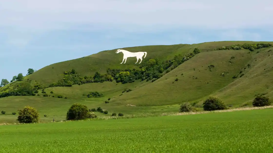Cherhill White Horse above rolling chalk hills on the Wessex Ridgeway in Wiltshire.