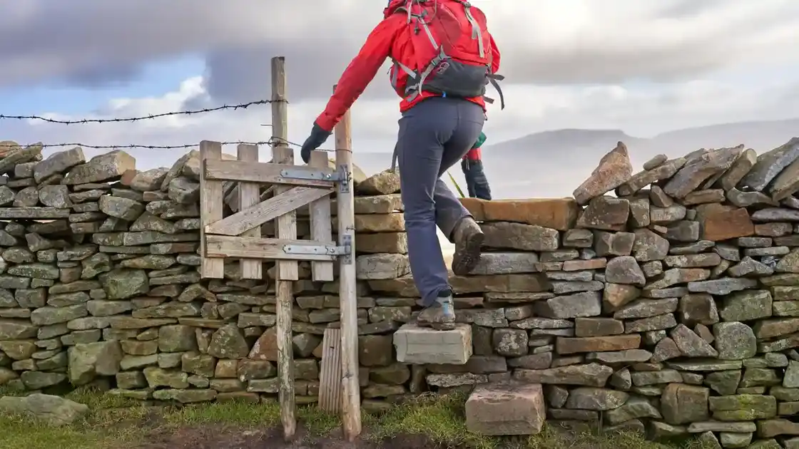A hiker climbing a stone stile over a dry-stone wall on high moorland along the Dales High Way in the Yorkshire Dales.