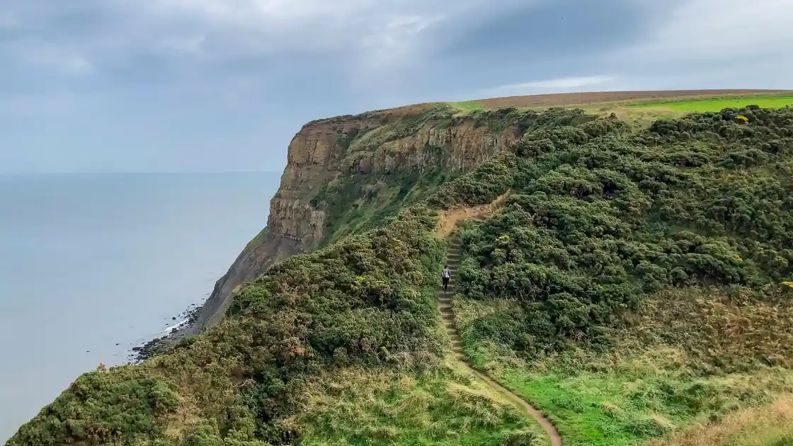 Walker ascending the Cleveland Way along steep clifftops above the North Sea on the North Yorkshire coast.