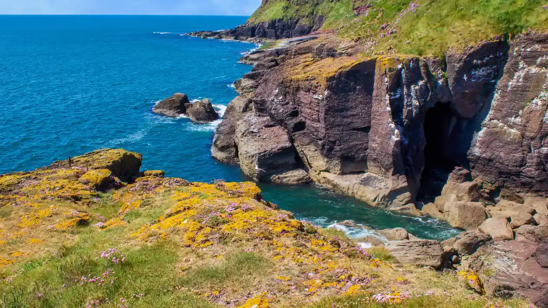 Rocky sea cave and layered cliffs along the Copper Coast in County Waterford, Ireland, with wildflowers and lichen-covered grass above the Atlantic shoreline.