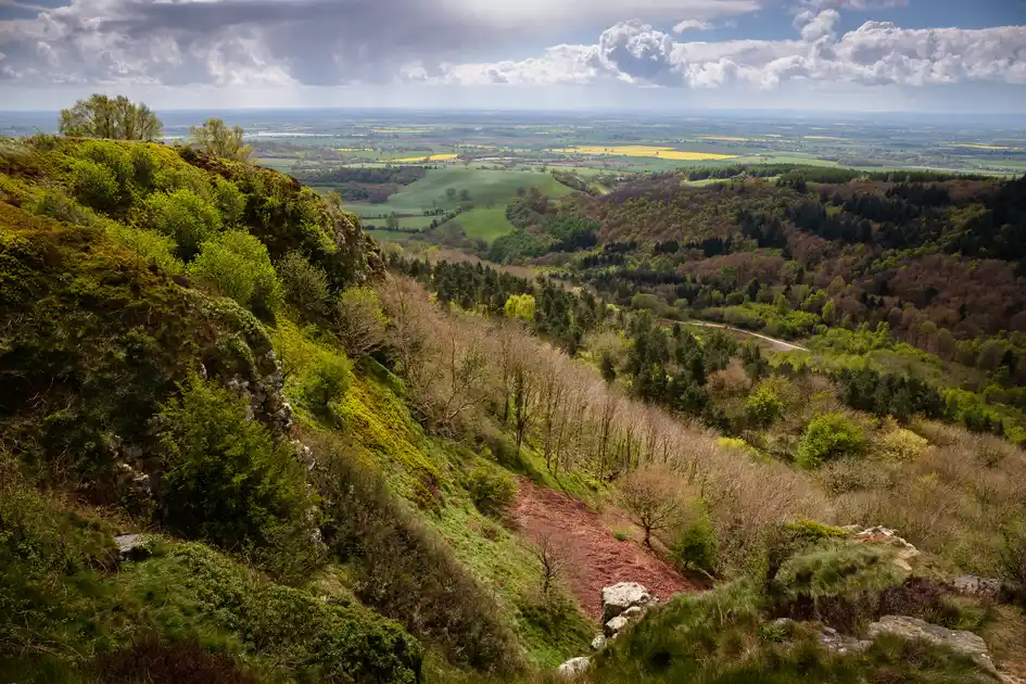 Wooded hills and open countryside viewed from the Lickey Hills near Birmingham, West Midlands.
