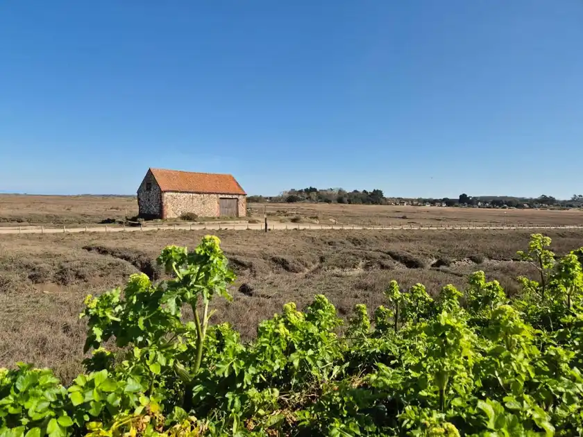 Historic flint barn with a red-tiled roof standing among open saltmarshes at Thornham Harbour on the Norfolk coast.7