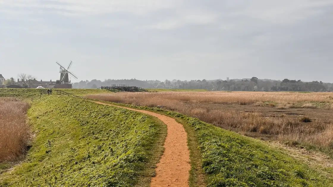 Walking path along a grassy embankment through coastal reedbeds at Cley-next-the-Sea, Norfolk, with Cley Windmill visible in the distance beneath an overcast sky.