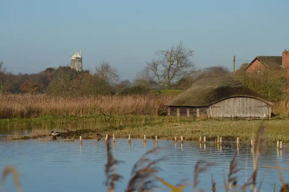 Open water and reedbeds beside a traditional thatched boathouse at Hickling Broad in the Norfolk Broads, with a windmill visible beyond the trees.