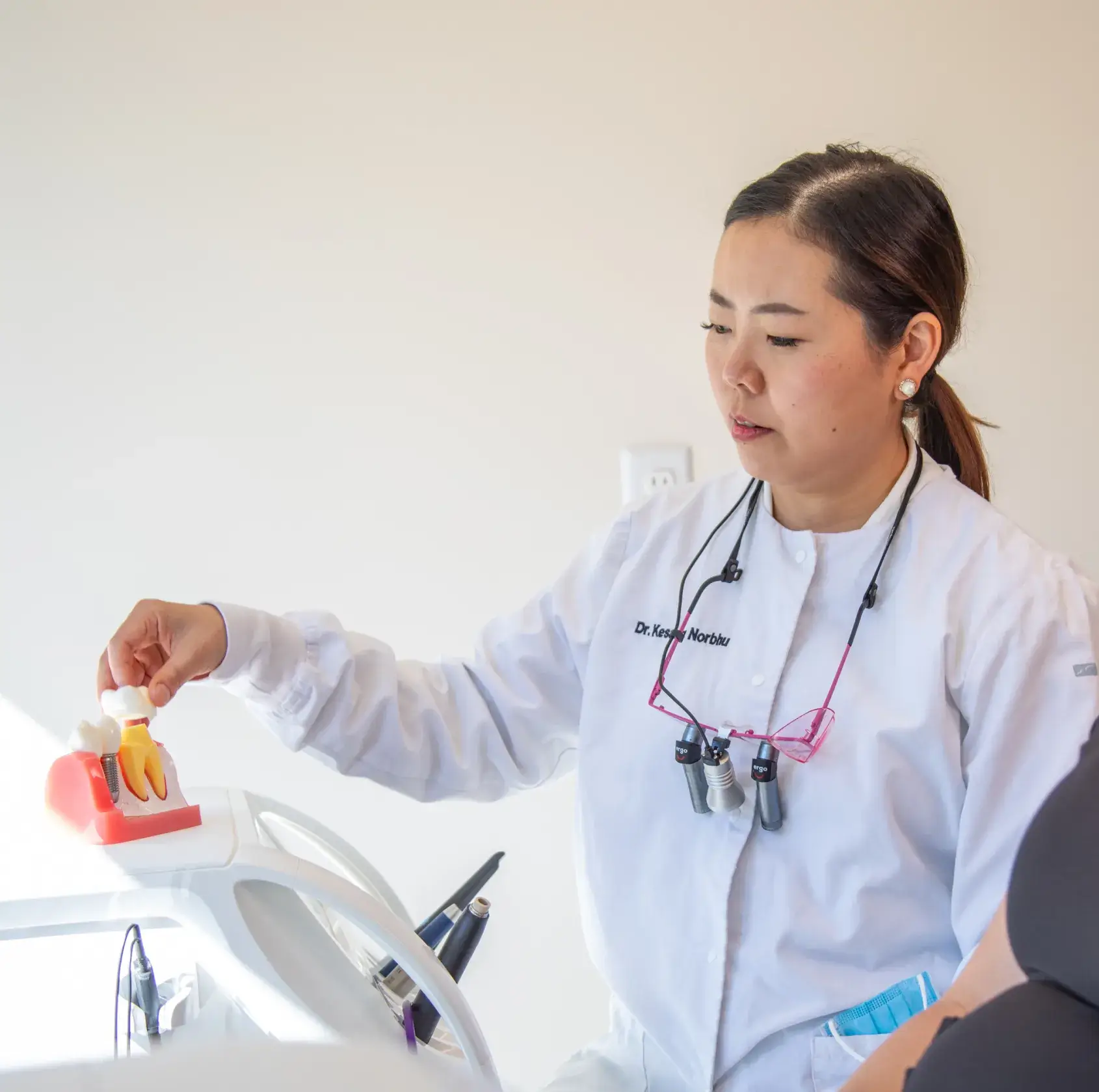 A dentist demonstrates a dental procedure using a tooth model in a clinic setting.