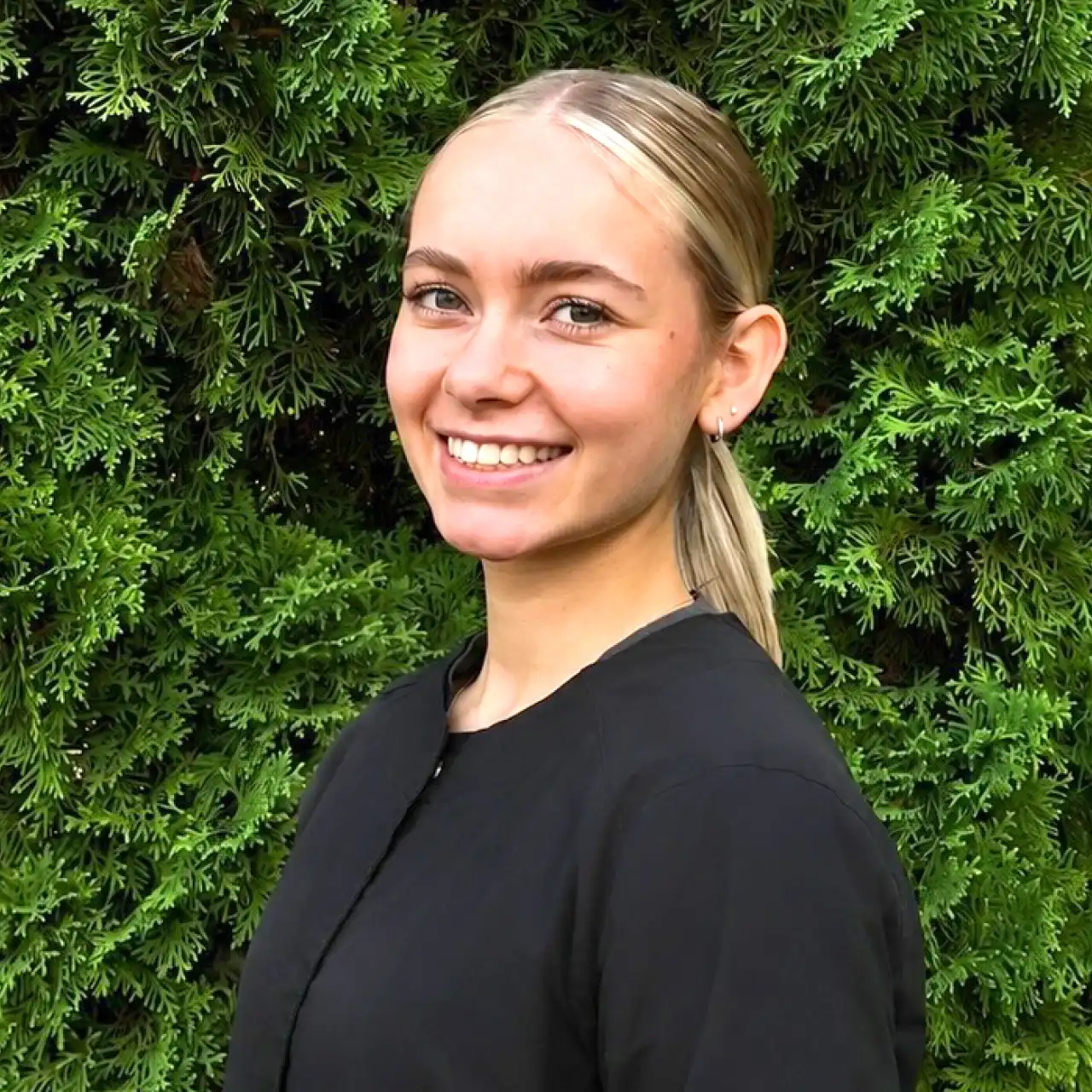 Dental Assistant