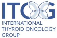 ITOG Logo
