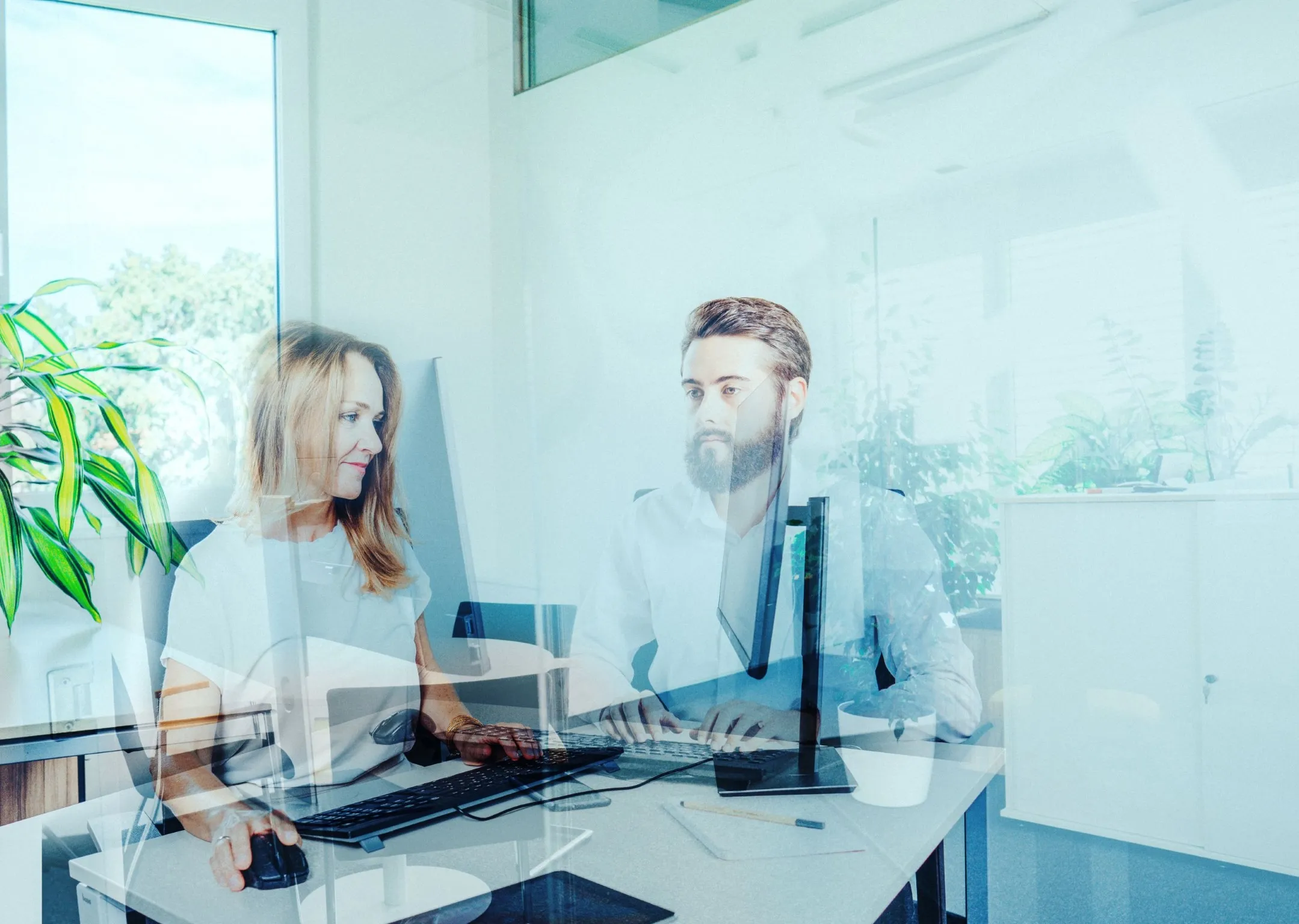 Zwei Geschäftsleute, eine Frau und ein Mann, arbeiten zusammen an Computern in einem hellen Büro mit Pflanzen.