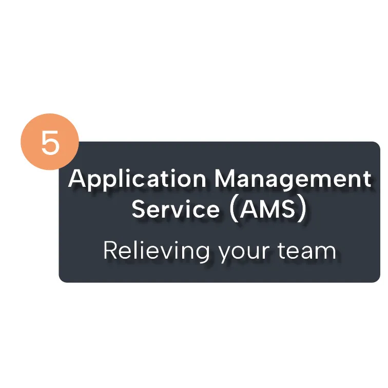 Schritt 5: Application Management Service (AMS) zur Entlastung Ihres Teams.