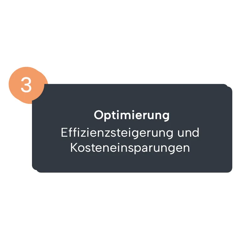 Textkasten mit der Nummer 3 und dem Titel Optimierung, darunter steht Effizienzsteigerung und Kosteneinsparungen.