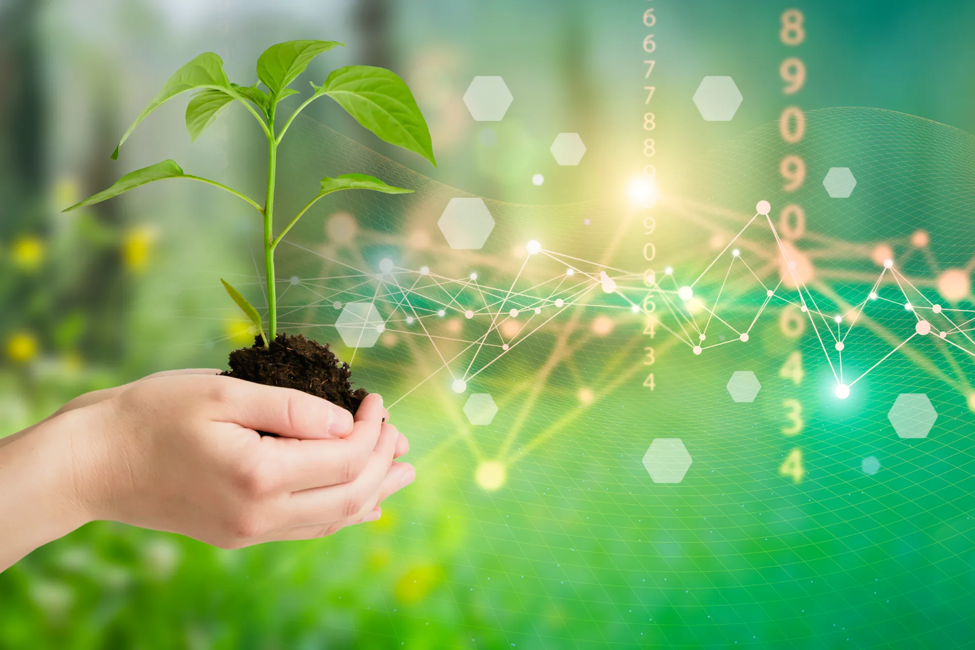 Hände halten eine kleine grüne Pflanze mit Erde vor unscharf grünem Hintergrund und digitalen Vernetzungs- und Datenpunkten.