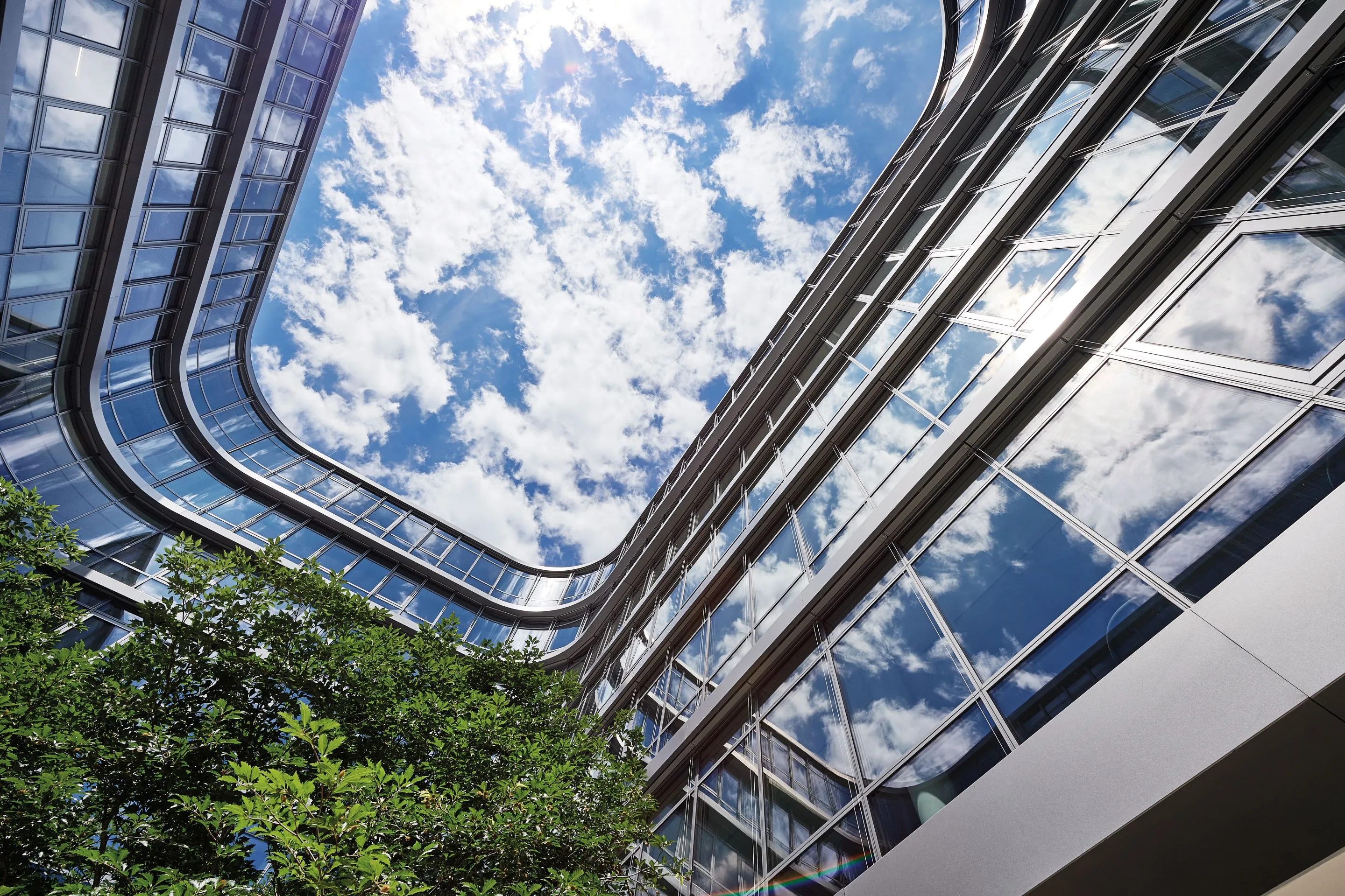 Moderne Glasfassade eines Gebäudes spiegelt den blauen Himmel mit weißen Wolken wider, mit grünen Büschen im Vordergrund.