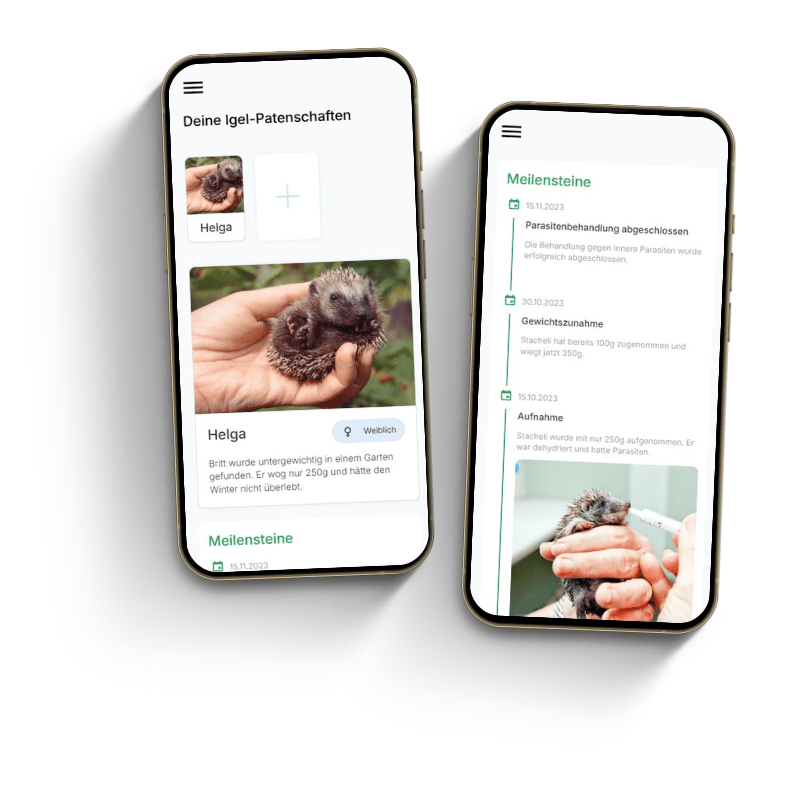 Homerockr App