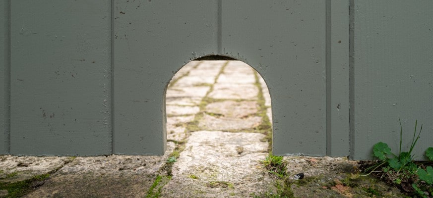 Igelfreundlicher Garten Lock im Zaun