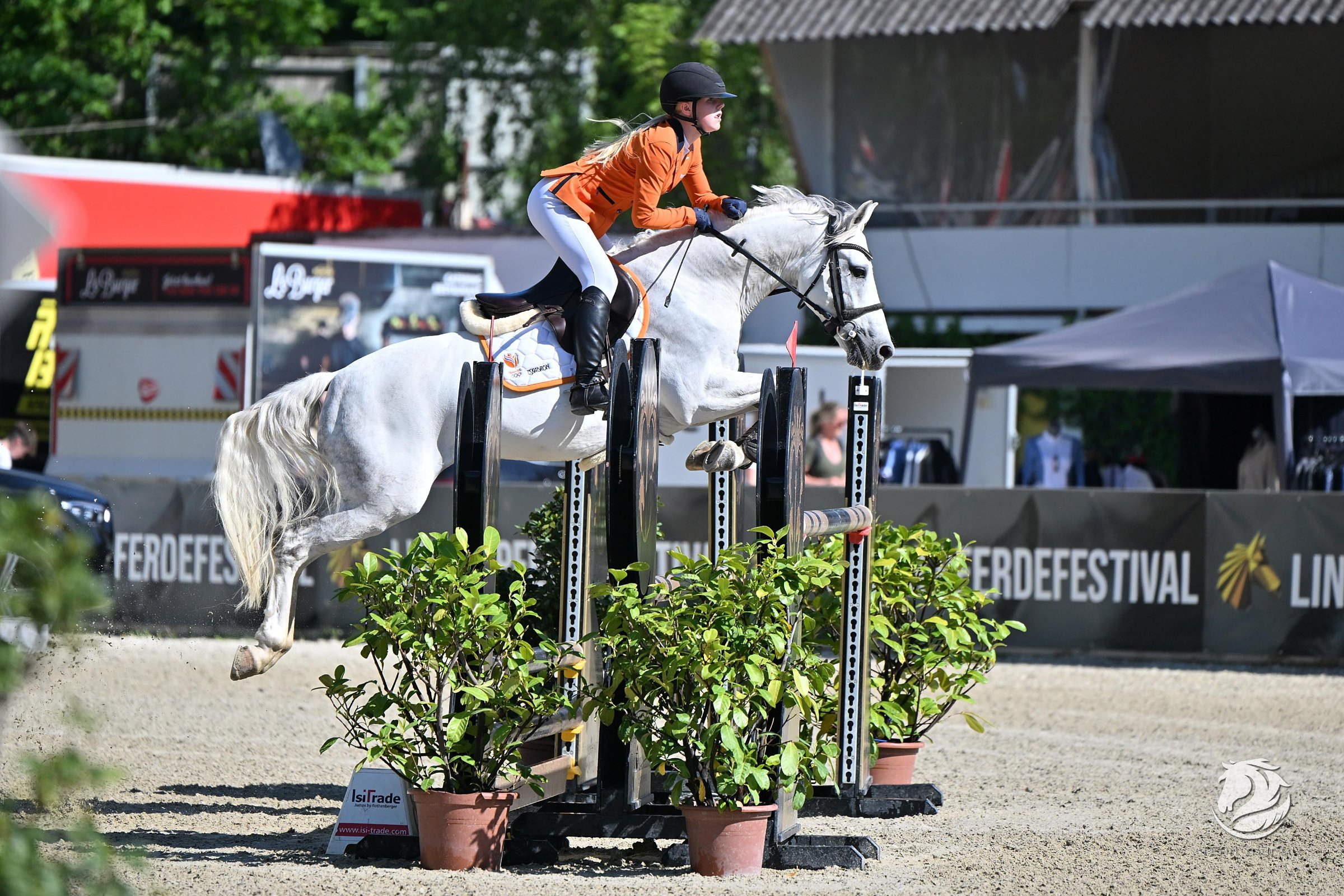 Schimmelpony van PurSang springt op een internationaal concours