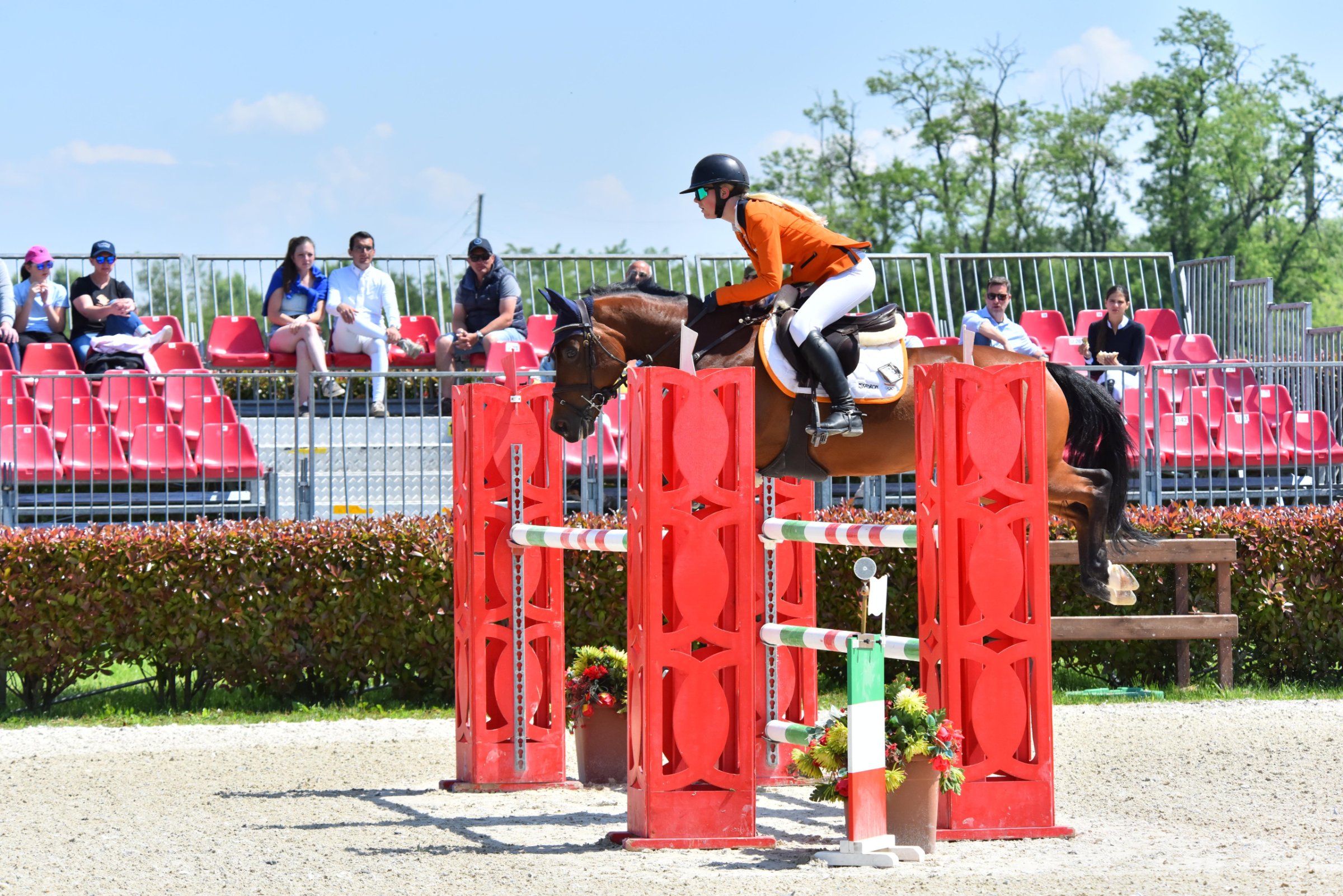 PurSang-ruiter springt over een hindernis op concours