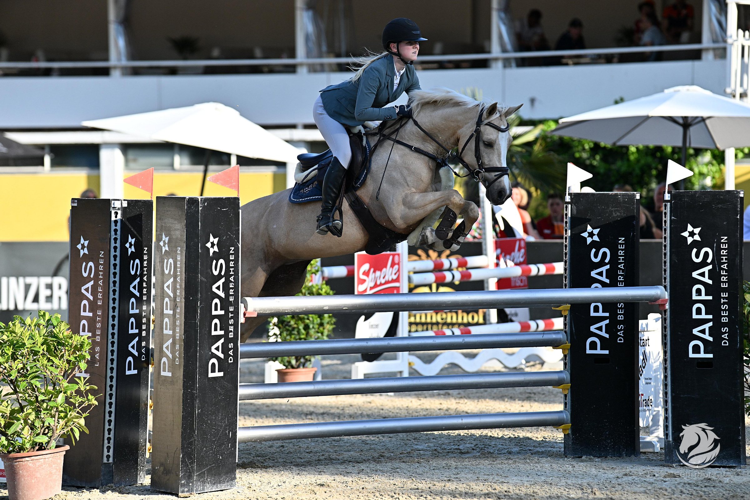 Schimmel van PurSang in de sprong op concours