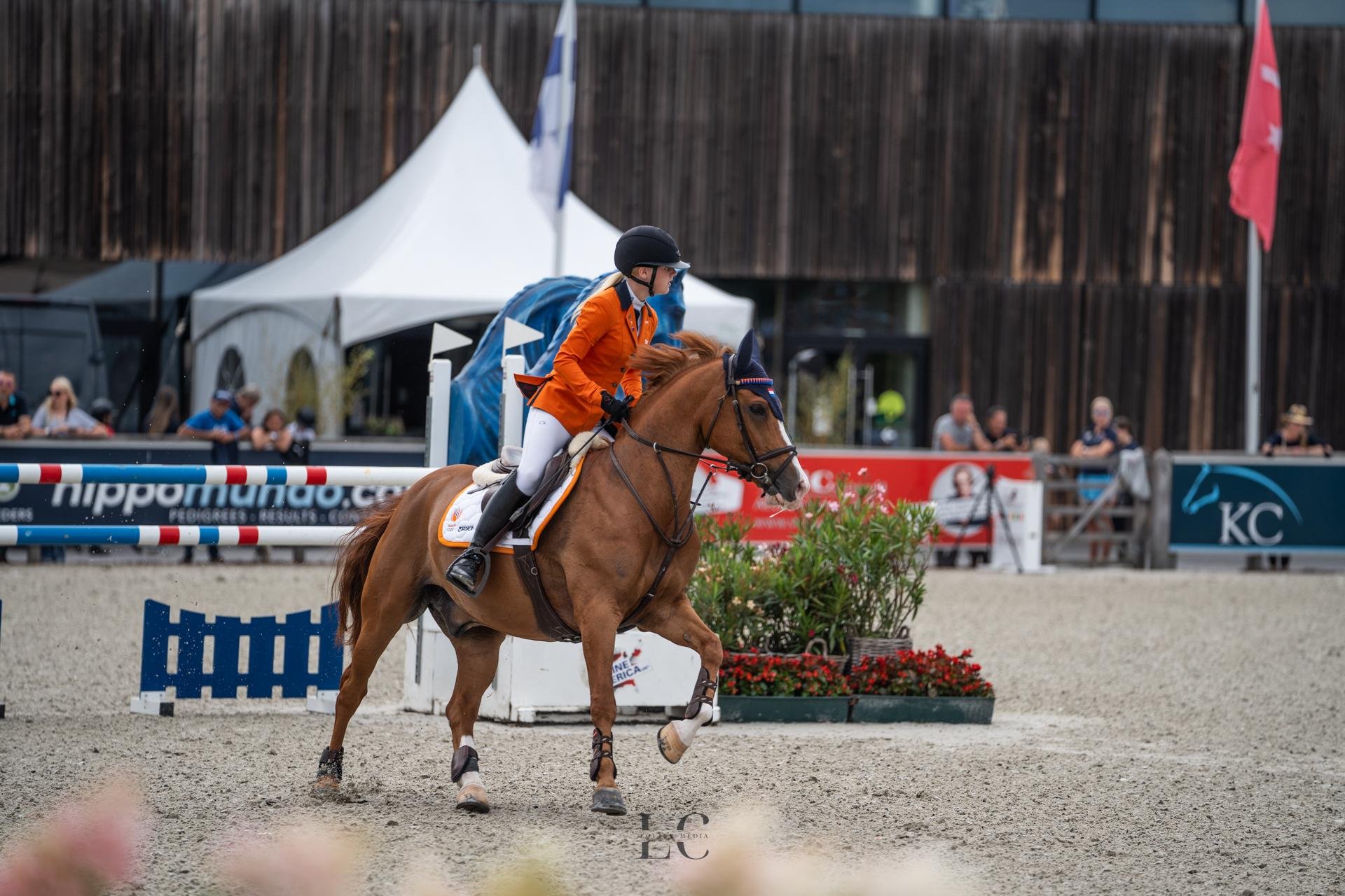 Vospony van PurSang in galop in de ring