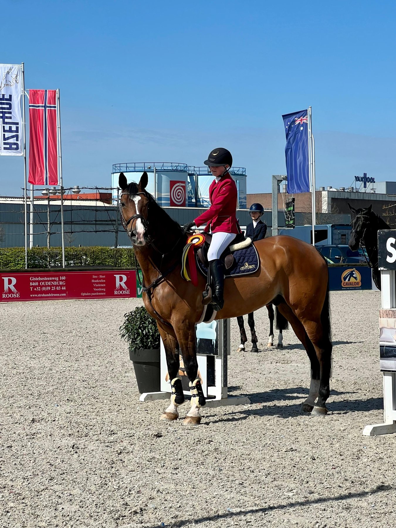 PurSang-ruiter met rozet op een internationaal concours