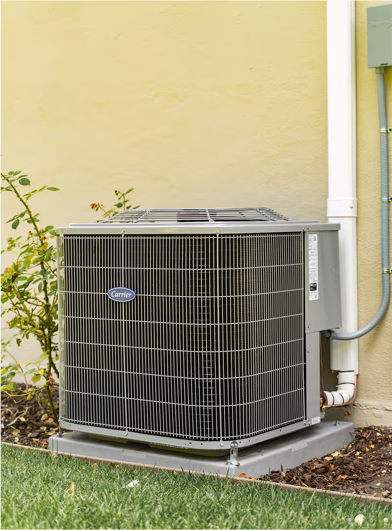 Outdoor Carrier brand air conditioning unit installed on a plastic base next to a yellow wall with some greenery beside it.
