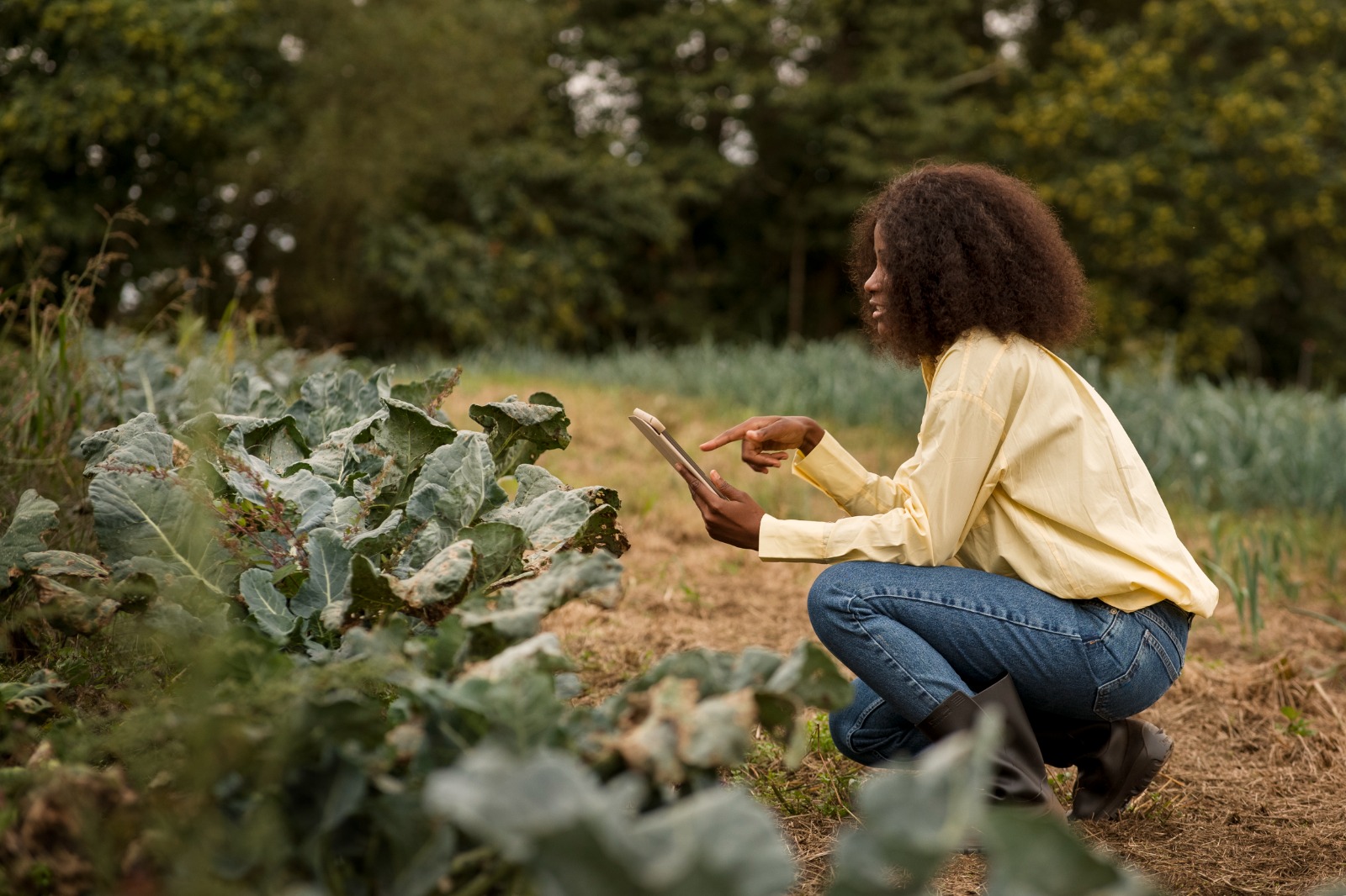 The potential of e-agriculture in Cameroon and Africa