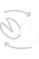 Small icon that symbolizes cross-reactivity. There are two nuts, a pistachio and cashew, enclosed by 2 arrows.