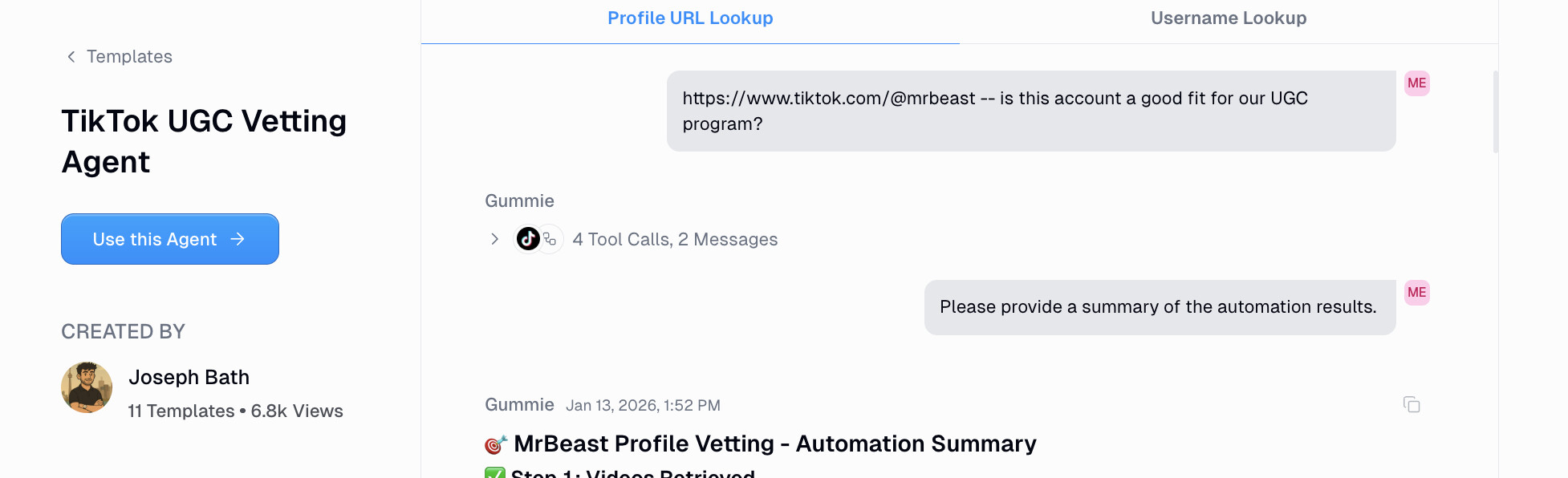 TikTok UGC Vetting Agent