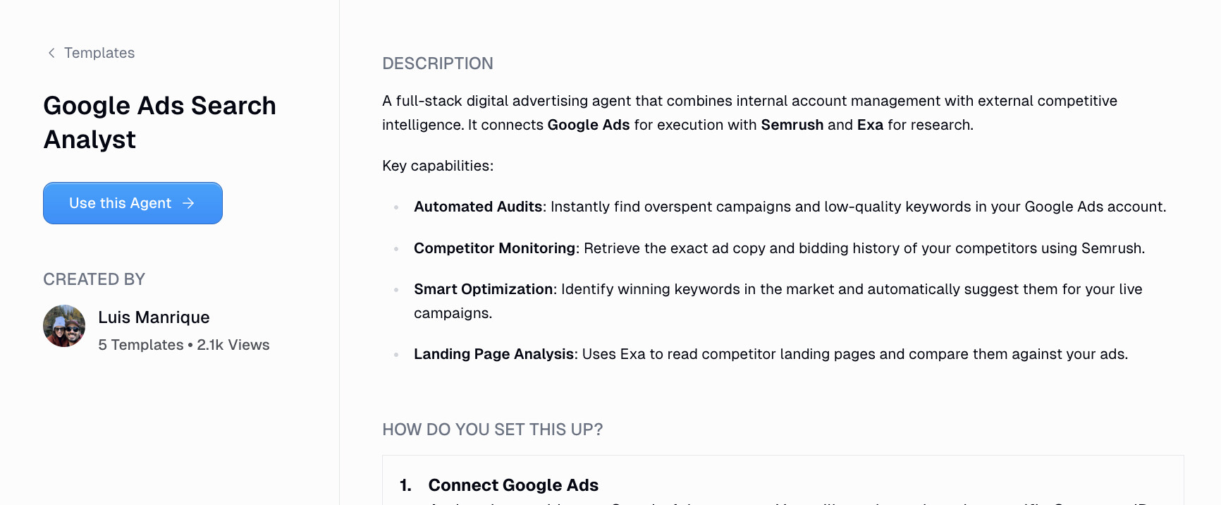 Google Ads search agent