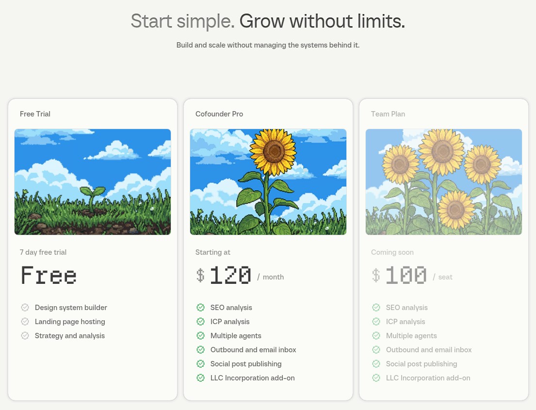 Cofounder pricing