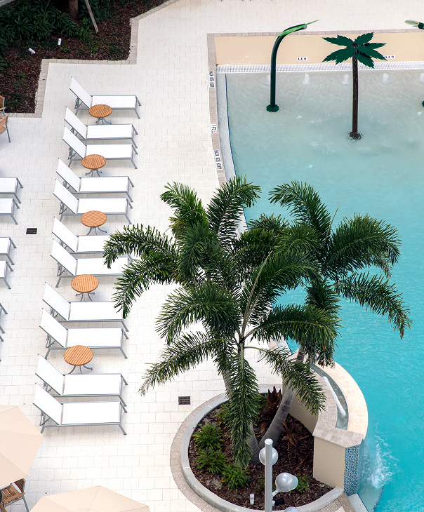 Aerial view of a poolside area with white lounge chairs and round wooden side tables on light tile flooring and a small landscaped palm tree island near the swimming pool.