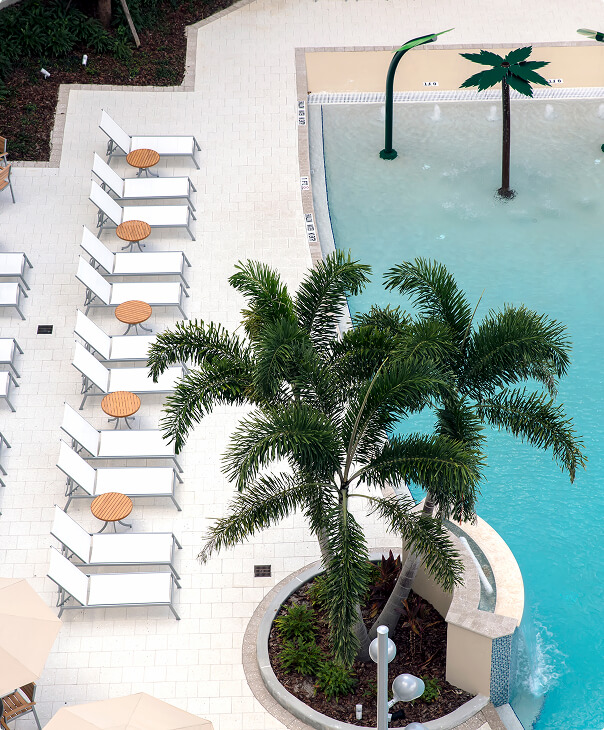 Aerial view of a poolside area with white lounge chairs and round wooden side tables on light tile flooring and a small landscaped palm tree island near the swimming pool.