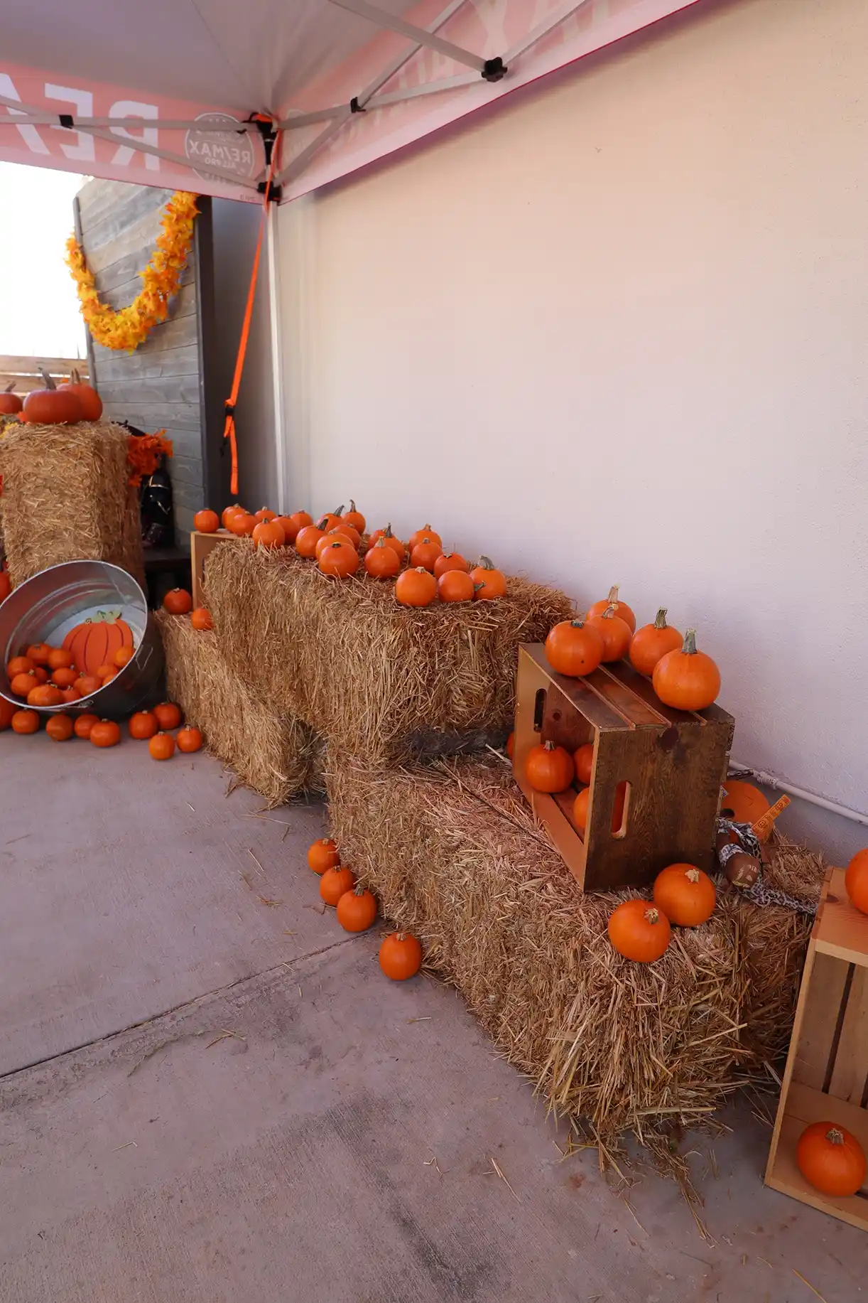 Autumn display with orange pumpkins on hay bales under a tent canopy