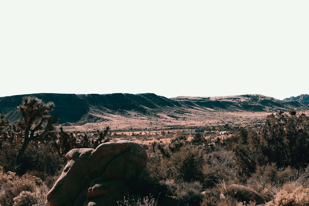 A Practical Guide to Servicing Your AC in Desert Climates
