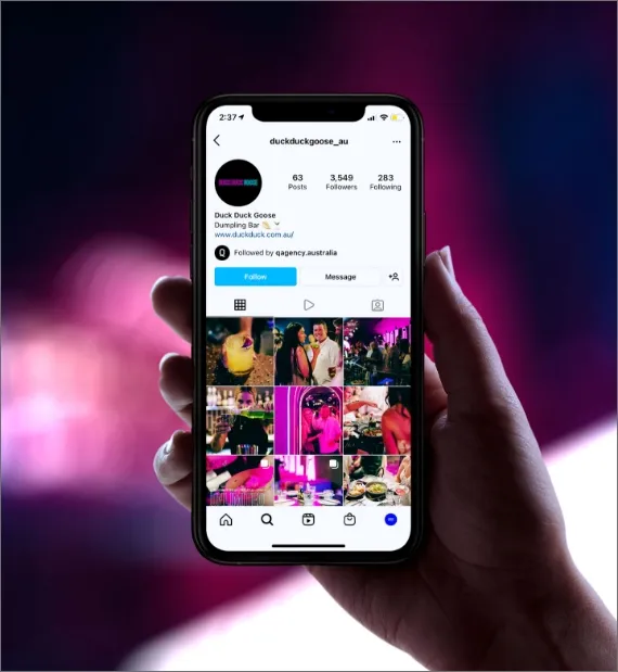 Hand holding a smartphone displaying the Instagram profile of Duck Duck Goose Dumpling Bar with 63 posts, 3,549 followers, and 283 following.