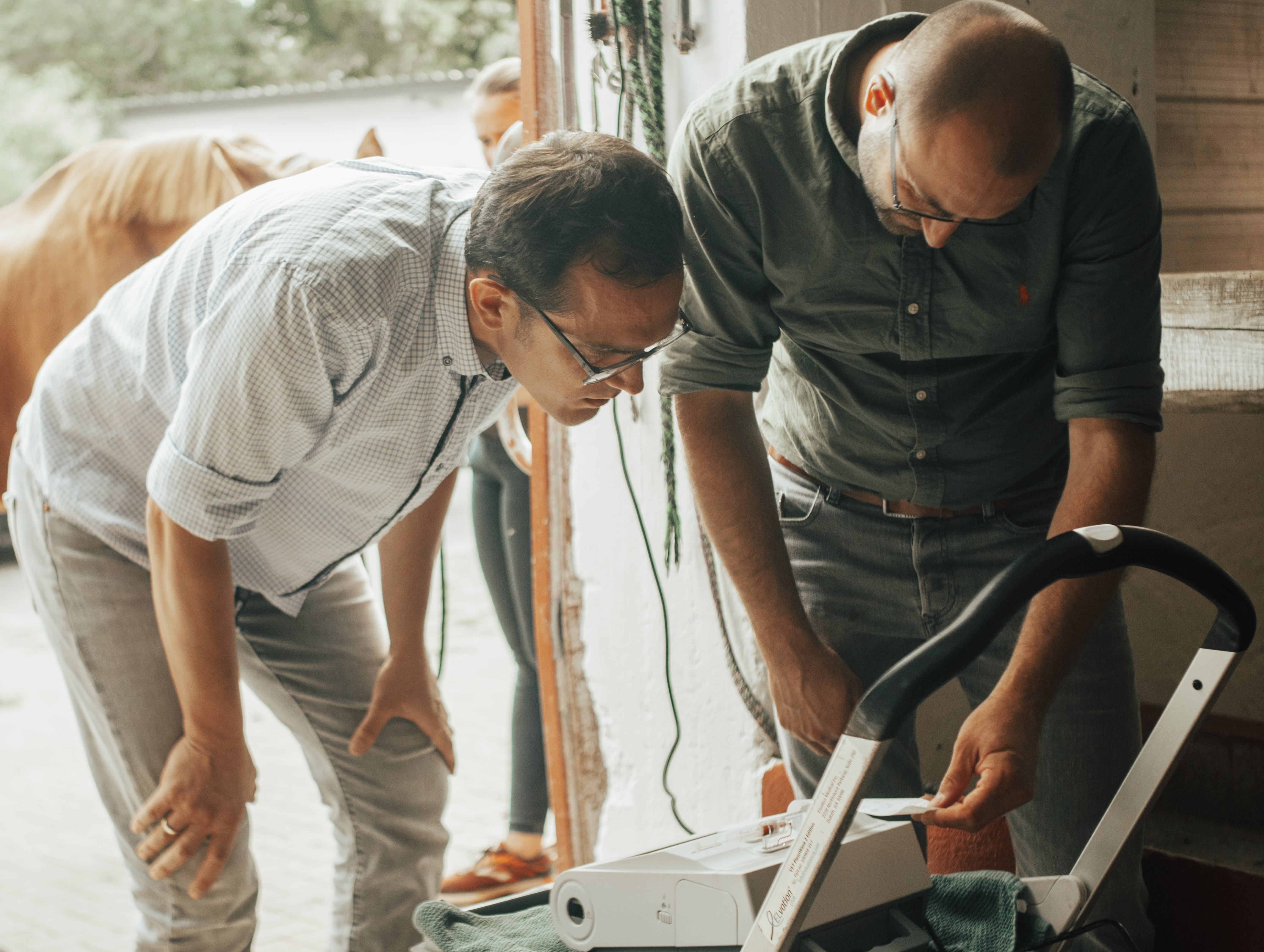 Blutgasanalyse – Ein Meilenstein für die Pferdegesundheit