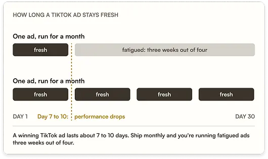 Brand search graph