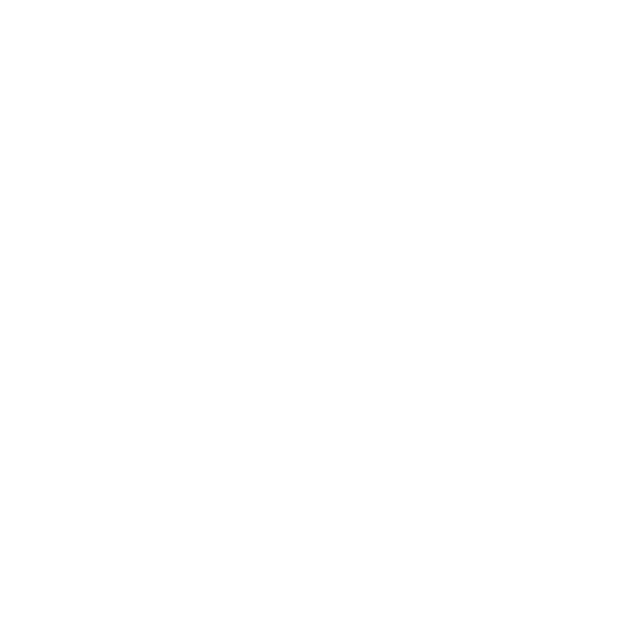 Icon Linkedin Programme Pi