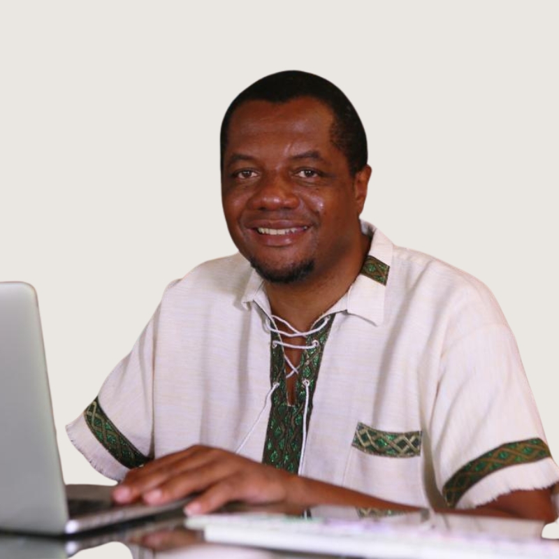 Hopewell Chin’ono