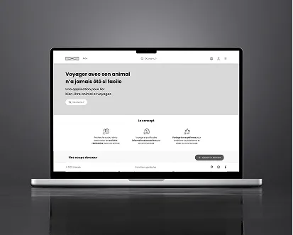 Exemple de projet 11 - Zoe Bonnefoy Product Designer 