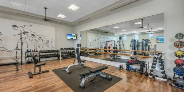 Modern gym room with wooden flooring, various dumbbells, weight benches, and large mirror covering one wall.