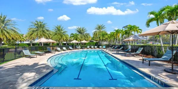 Outdoor swimming pool surrounded by palm trees, lounge chairs, and umbrellas under a clear blue sky.