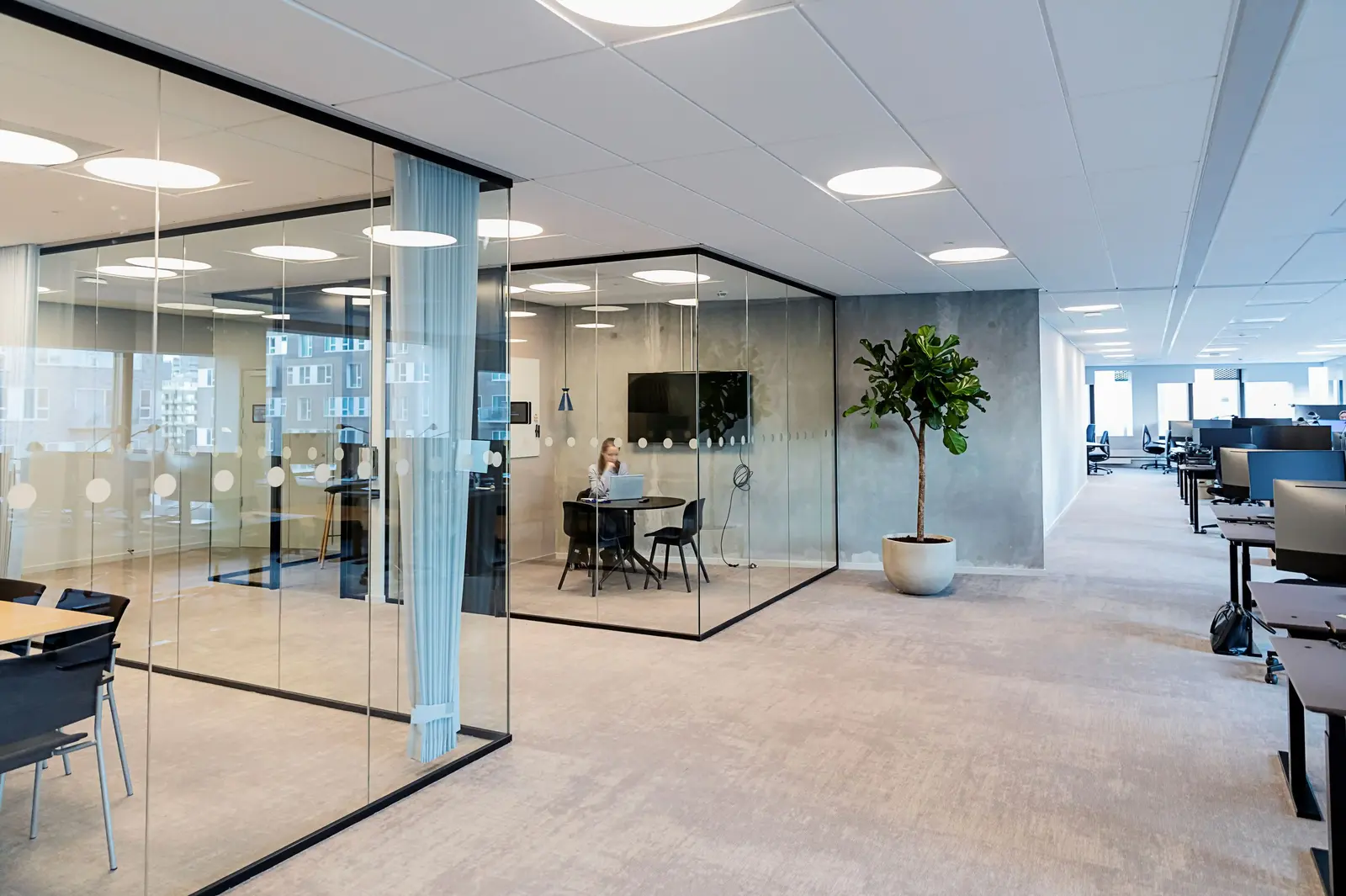 Moderne kontorlandskap med glassvegger deler åpne områder og små møterom, et av dem med en person som sitter ved et rundt bord med laptop, og en stor potteplante langs veggen.